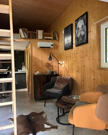 Tiny De Paula * Saint-Hubert