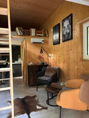 Tiny De Paula * Saint-Hubert